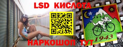 винт Будённовск