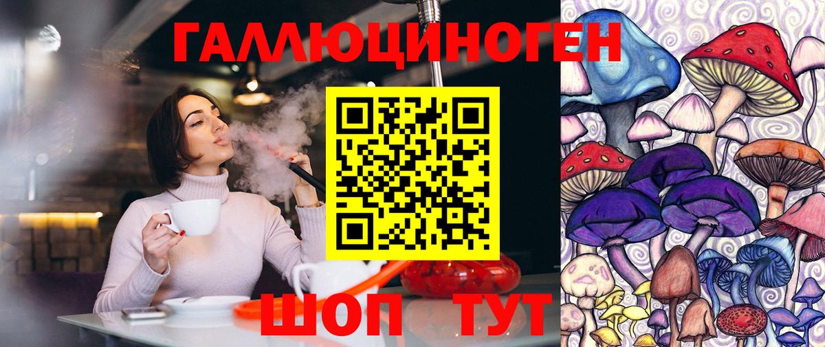 Сафоново  хочу   Вход с VPN  Псилоцибиновые грибы GOLDEN TEACHER 